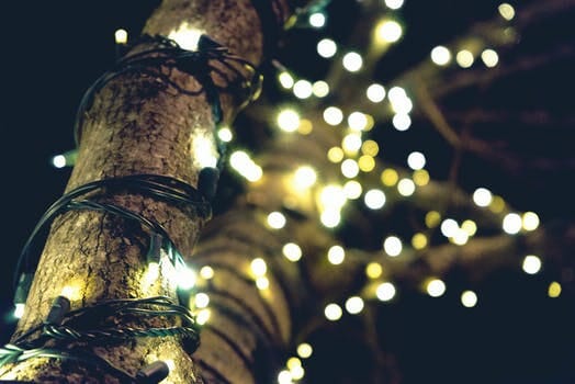 Most Common Holiday Light Installations