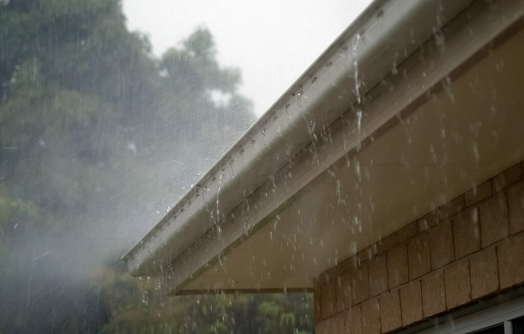 How Often Should I Have My Gutters Cleaned?