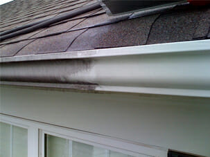 Exterior Gutter Cleaning