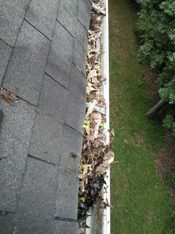 How Long Should It Take For My Gutters To Be Cleaned?