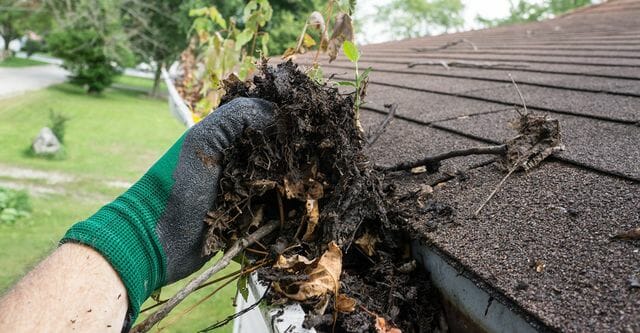 gutter cleaning | Clearly Amazing