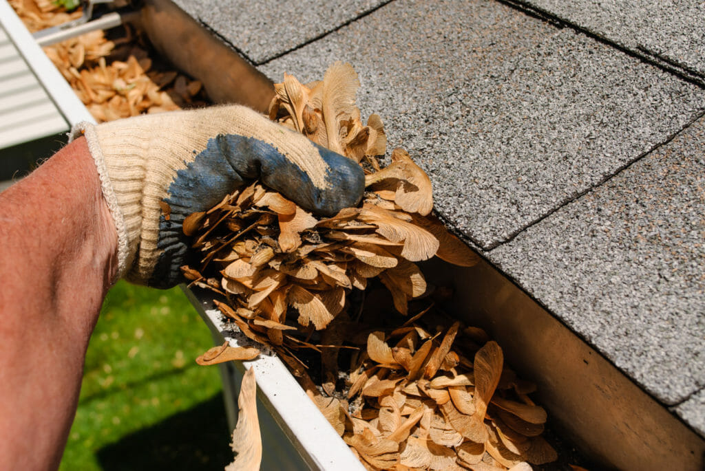 Is A Professional Gutter Cleaner Service Really A Better Way To Go?