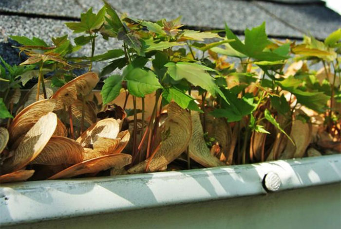 Telltale Signs that Your Gutters Need Cleaning