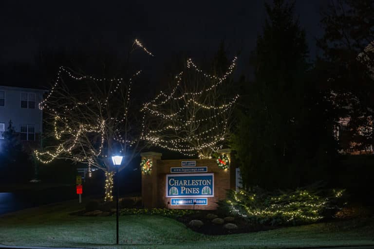 Tree canopy wrapped in white lights beside a lit community entrance sign