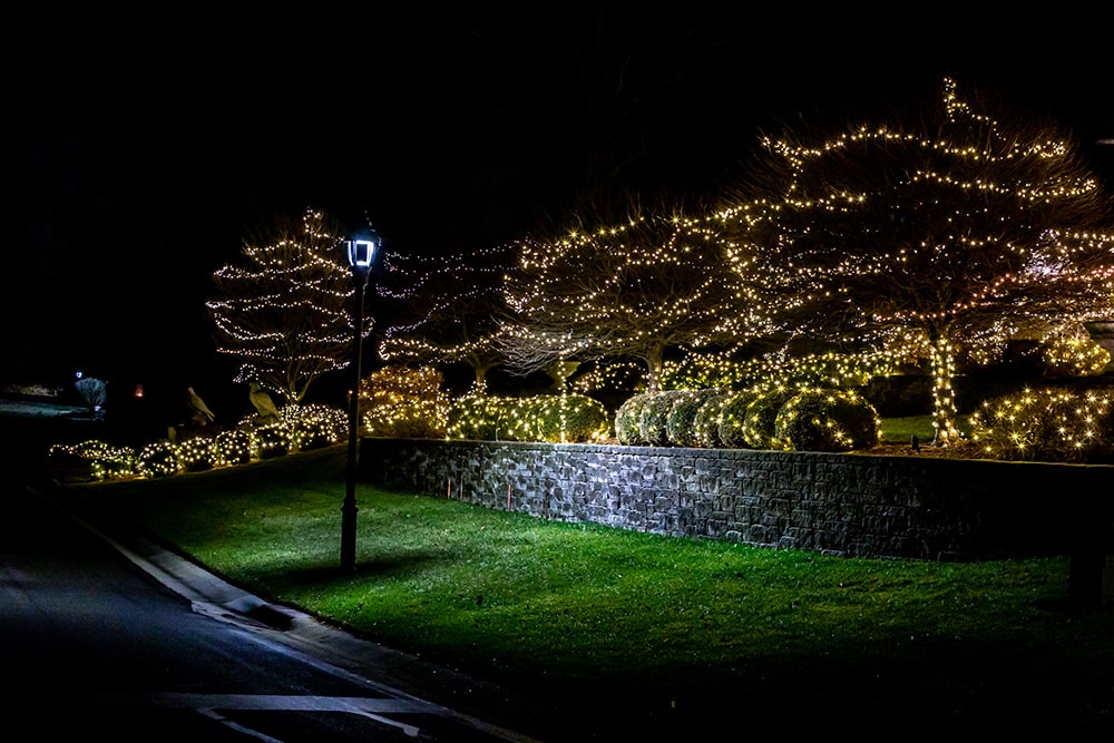 holiday lighting