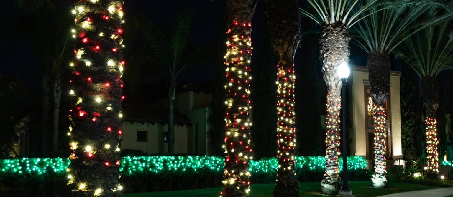 Palm trunks wrapped in red and white lights with green-lit hedges at night