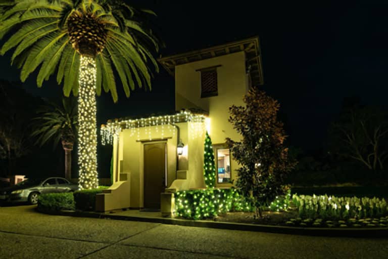 Palm tree wrapped in white lights beside a home with icicle lights along the roof