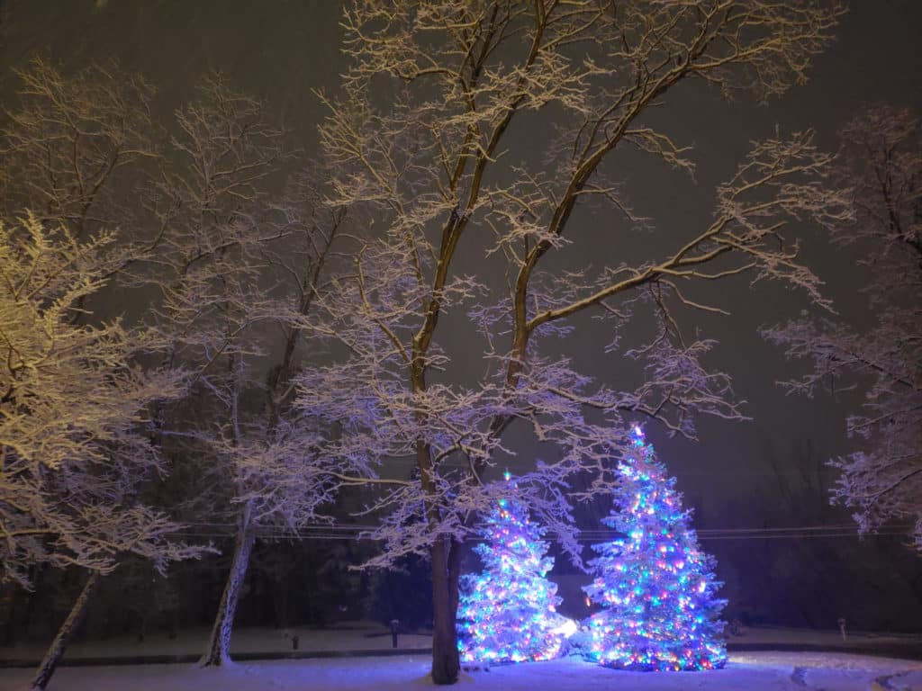 Two evergreen trees glowing with multi-colored lights in the snow