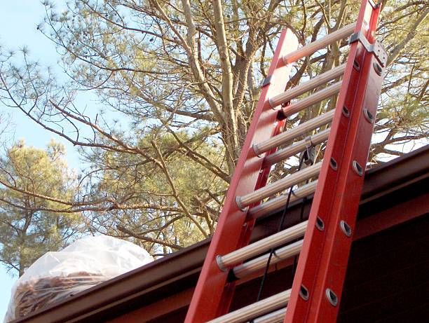 The Top 5 Reasons to Hire a Professional to Clean Your Gutters