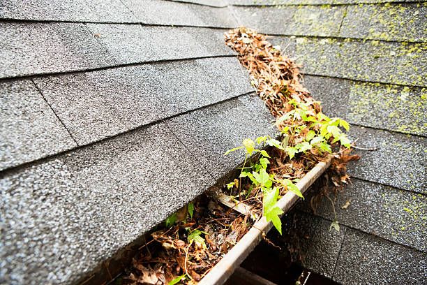 What is a Gutter Protection Plan and Do I Really Need One?