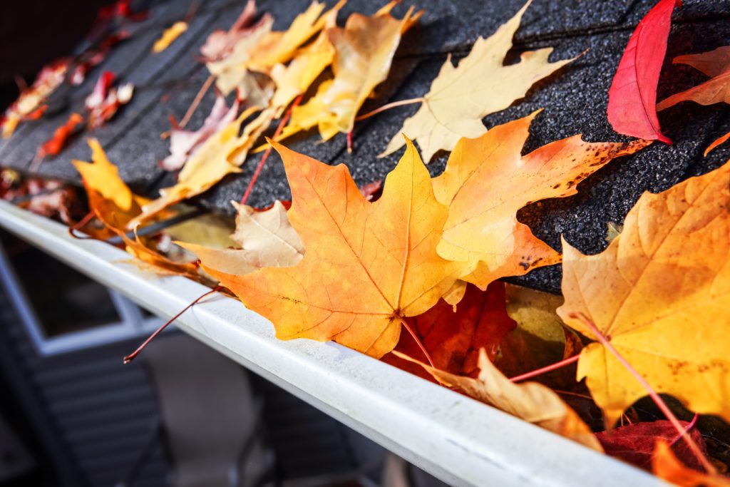 How Often Should My Gutters Be Cleaned?